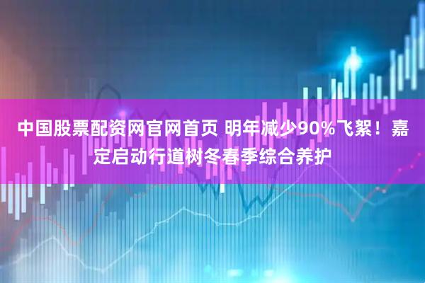 中国股票配资网官网首页 明年减少90%飞絮！嘉定启动行道树冬春季综合养护