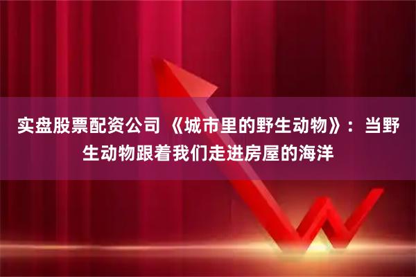 实盘股票配资公司 《城市里的野生动物》：当野生动物跟着我们走进房屋的海洋