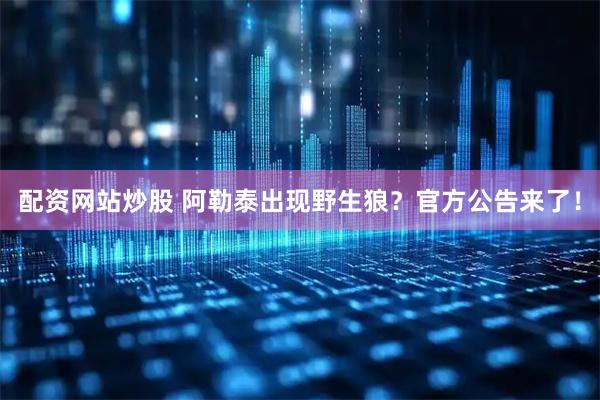 配资网站炒股 阿勒泰出现野生狼？官方公告来了！